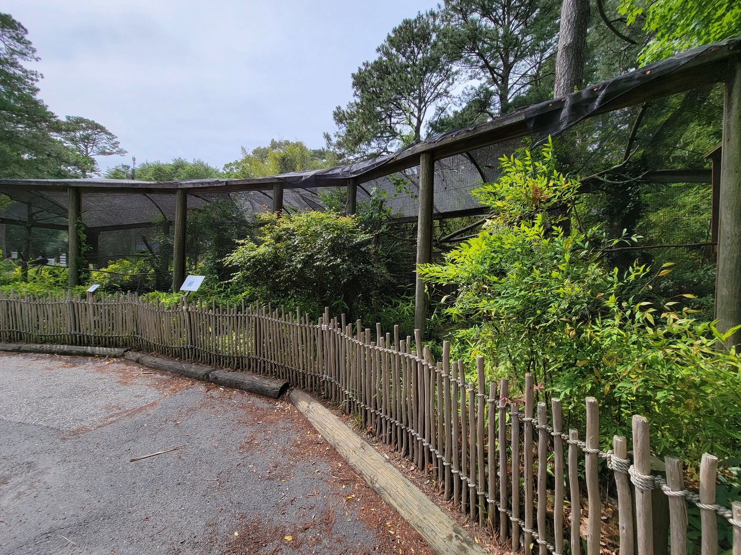 Salisbury - Great curassow aviary