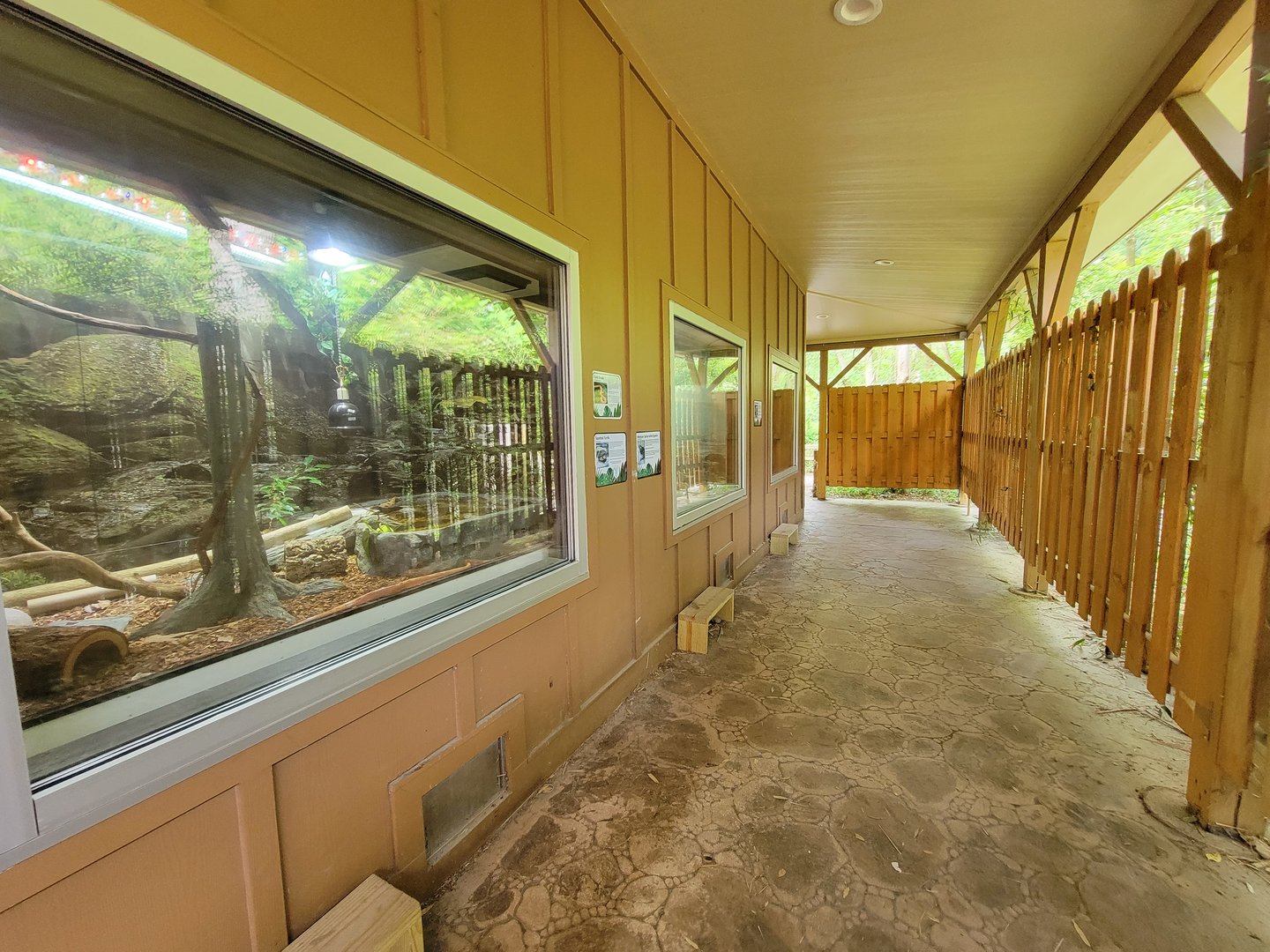 Salisbury - Herp viewing windows