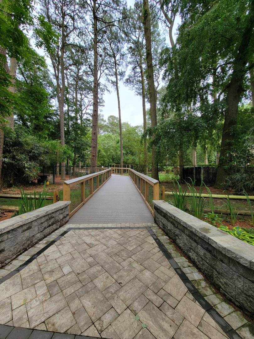 Salisbury - Lynx end of new boardwalk