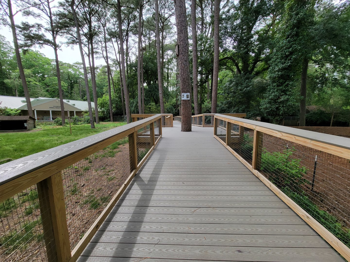Salisbury - New boardwalk through South American yard
