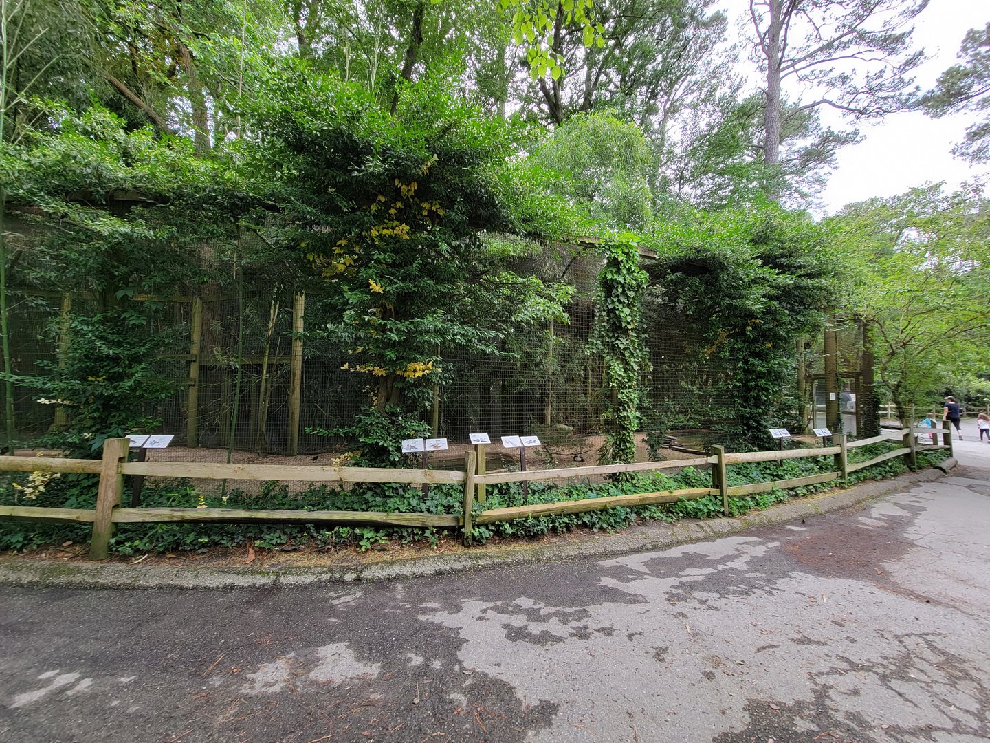 Salisbury - North American waterfowl