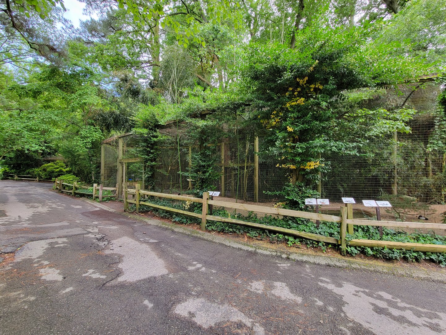 Salisbury - North American waterfowl