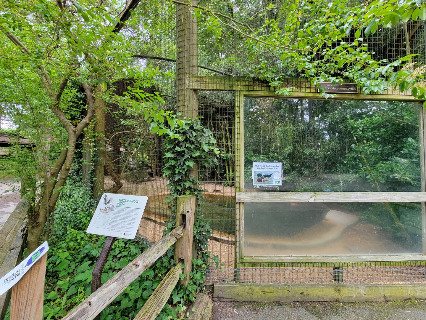 Salisbury - North American waterfowl