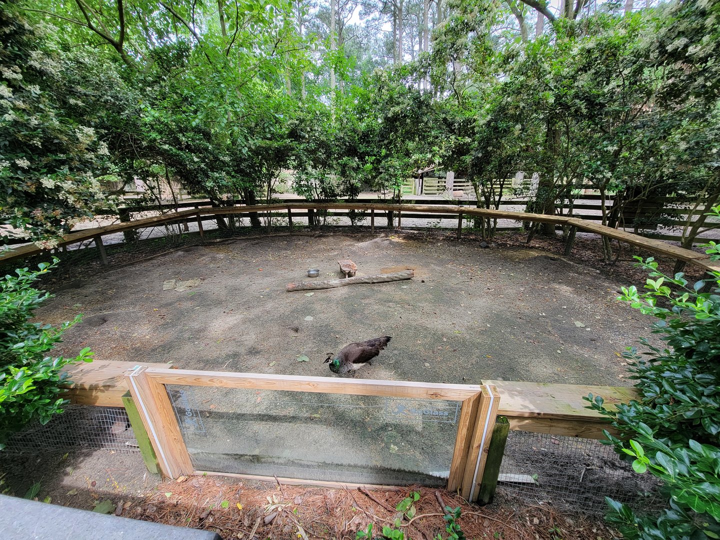 Salisbury - Prairie dogs