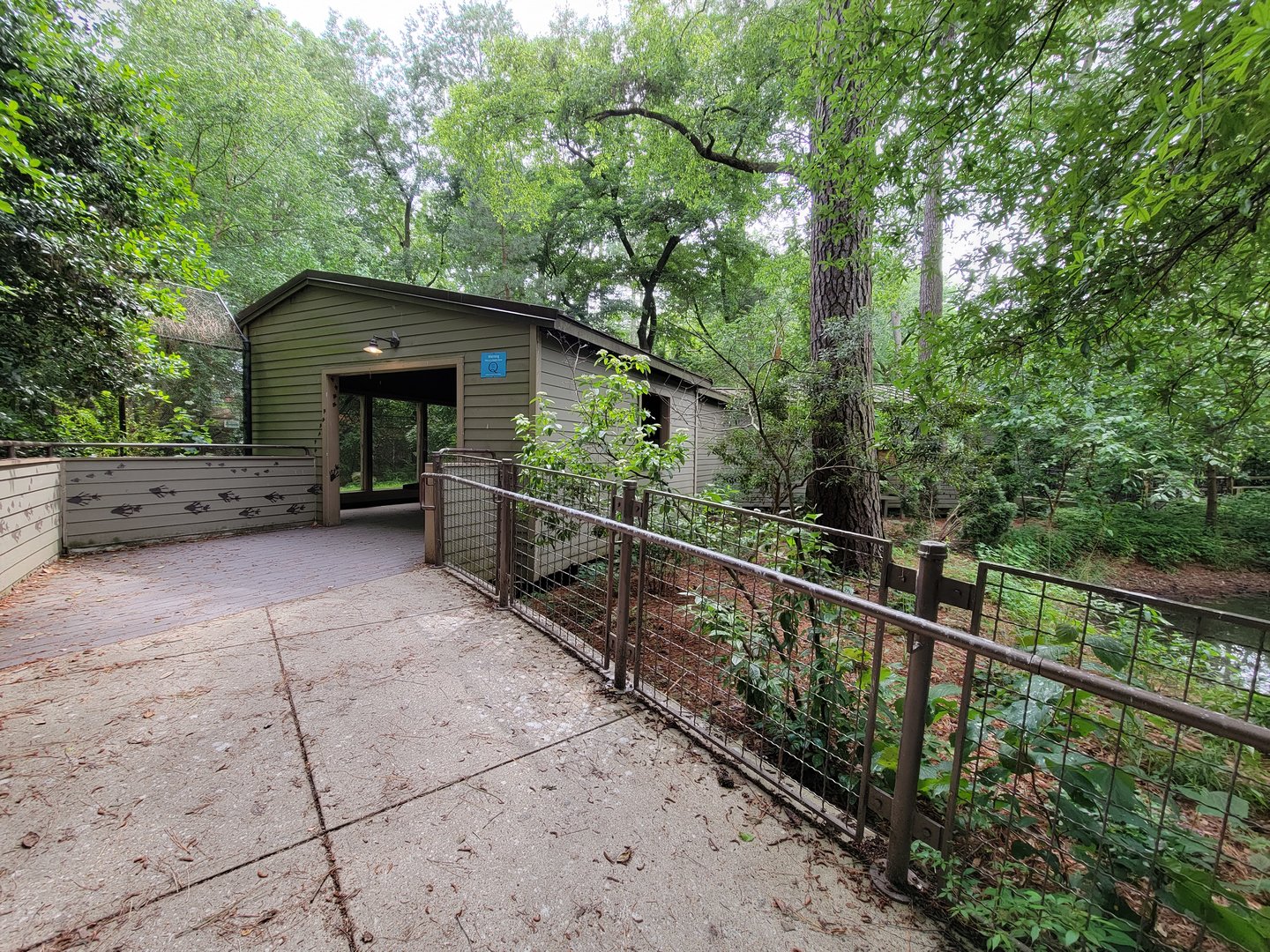 Salisbury - Red wolf viewing area