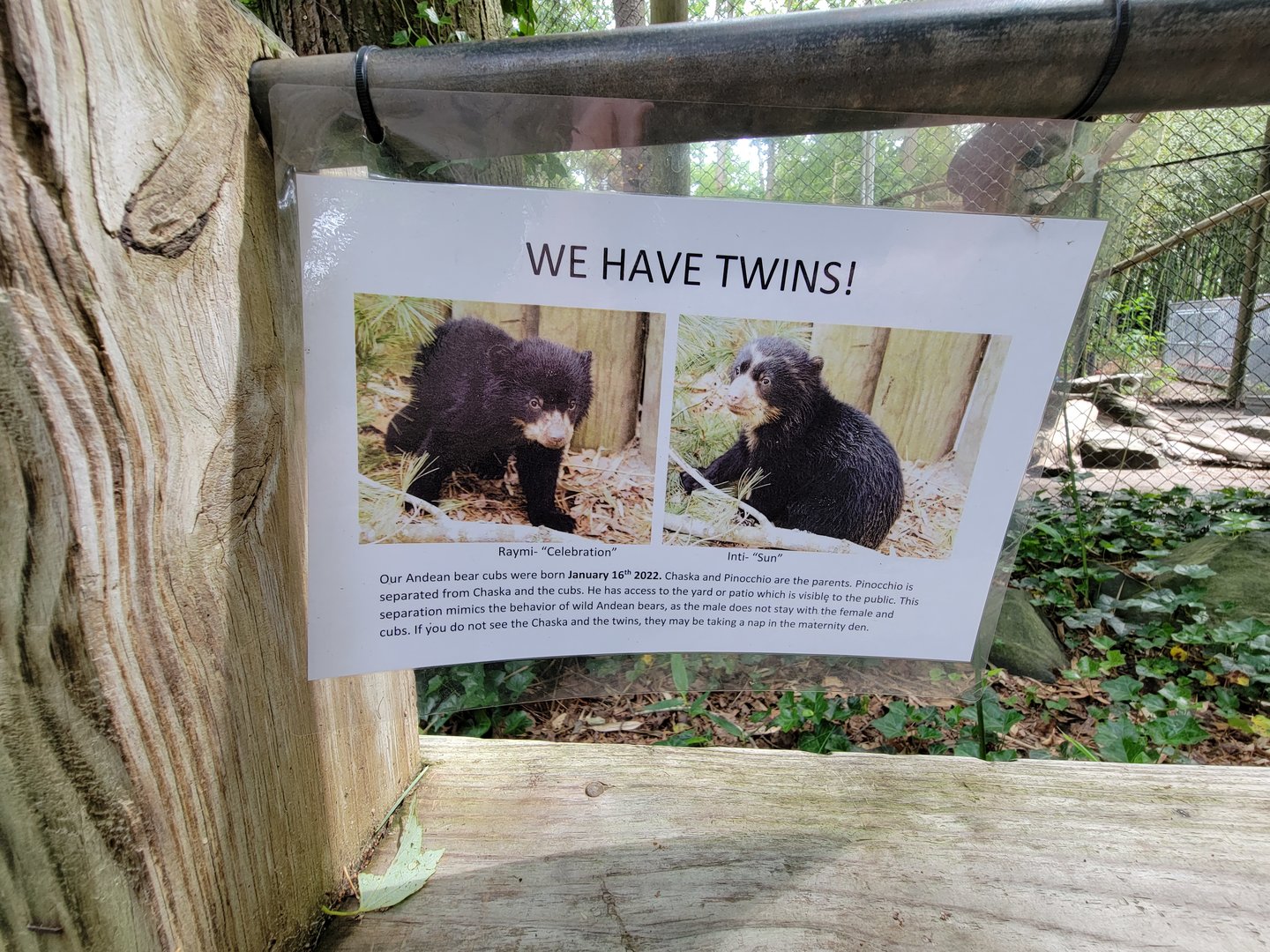Salisbury - Sign for Andean bear cubs