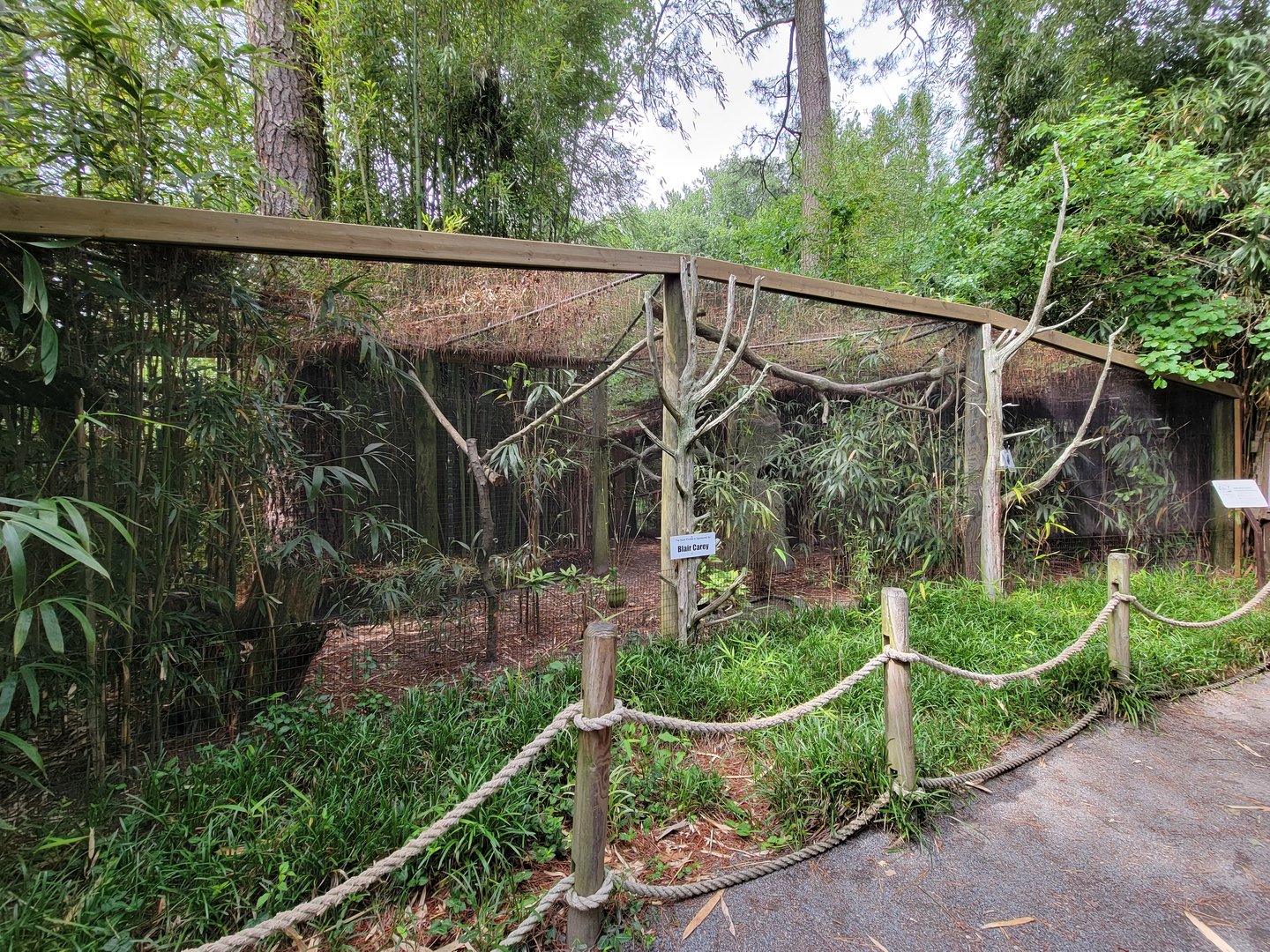 Salisbury - Sloth, red-footed tortoise