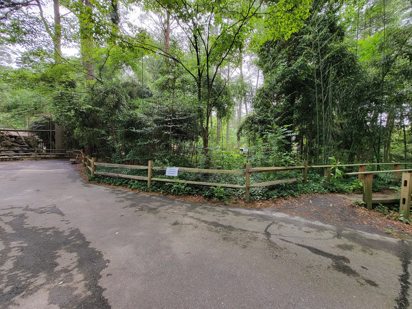 Salisbury - The old, empty exhibit by the lynx area is gone