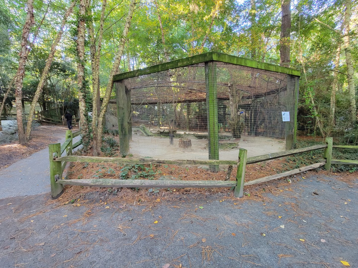 Salisbury Zoo - American crow and beaver exhibit