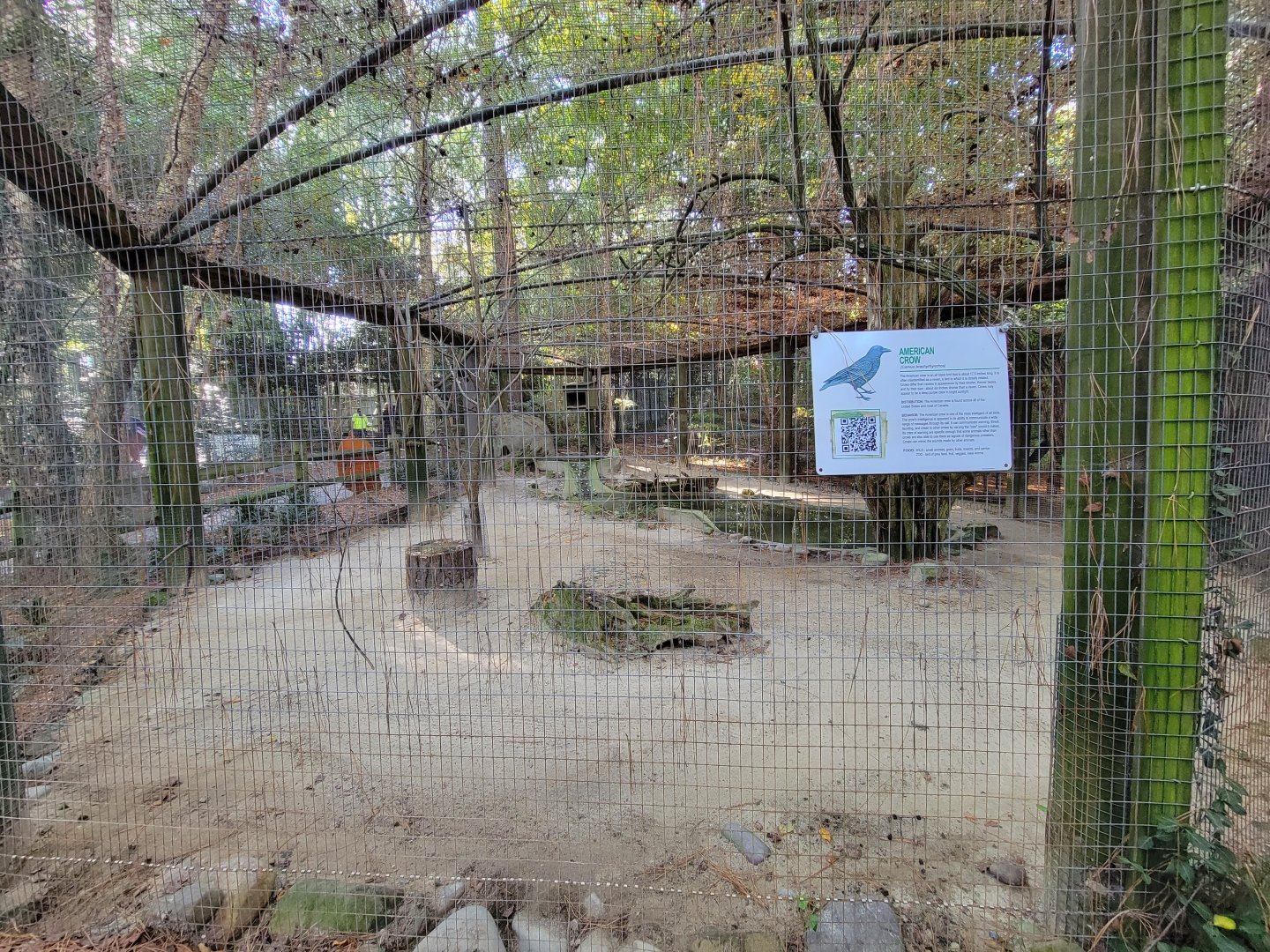 Salisbury Zoo - American crow and beaver exhibit