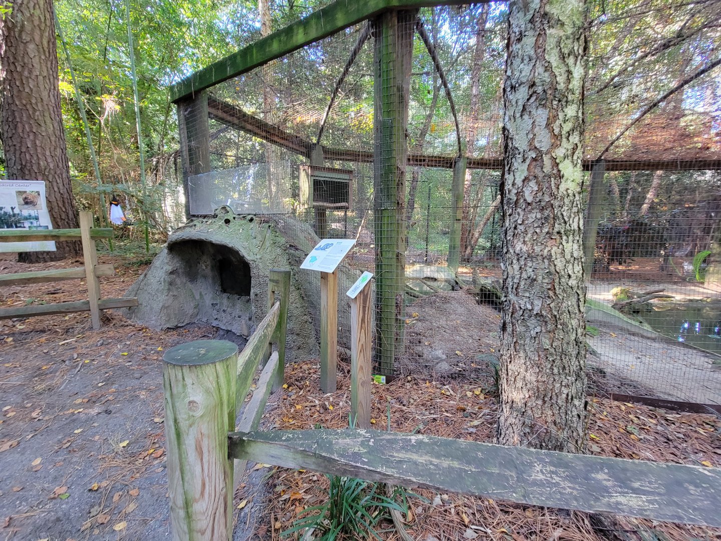 Salisbury Zoo - American crow and beaver exhibit