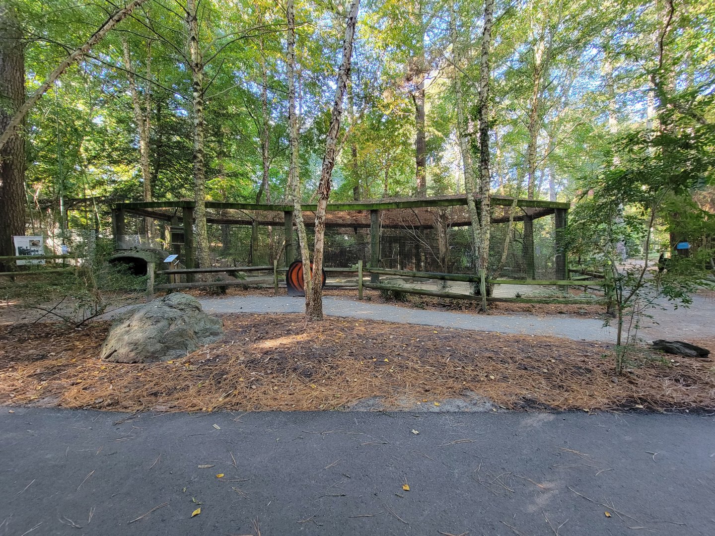Salisbury Zoo - American crow and beaver exhibit