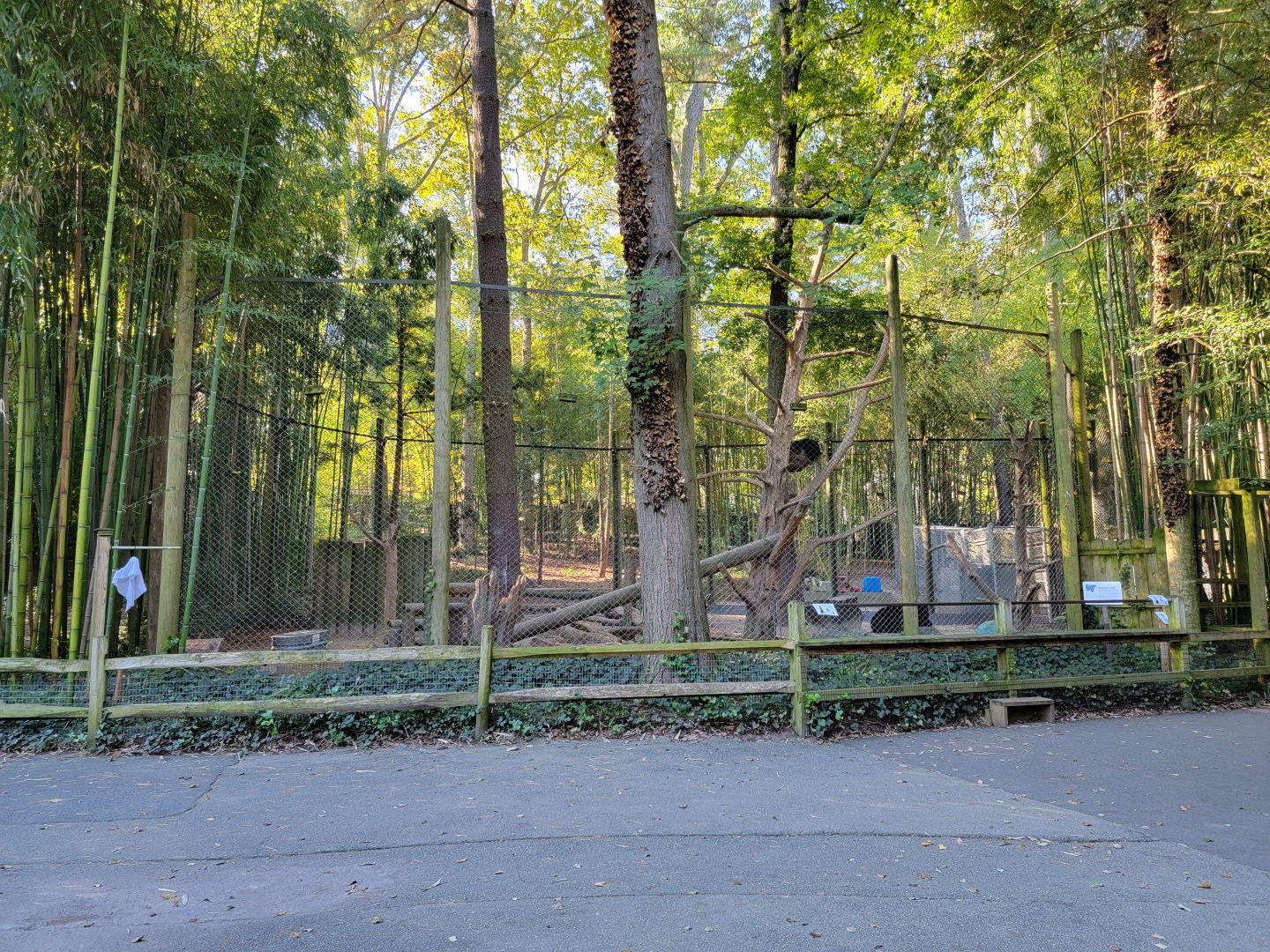 Salisbury Zoo - Andean bear exhibit