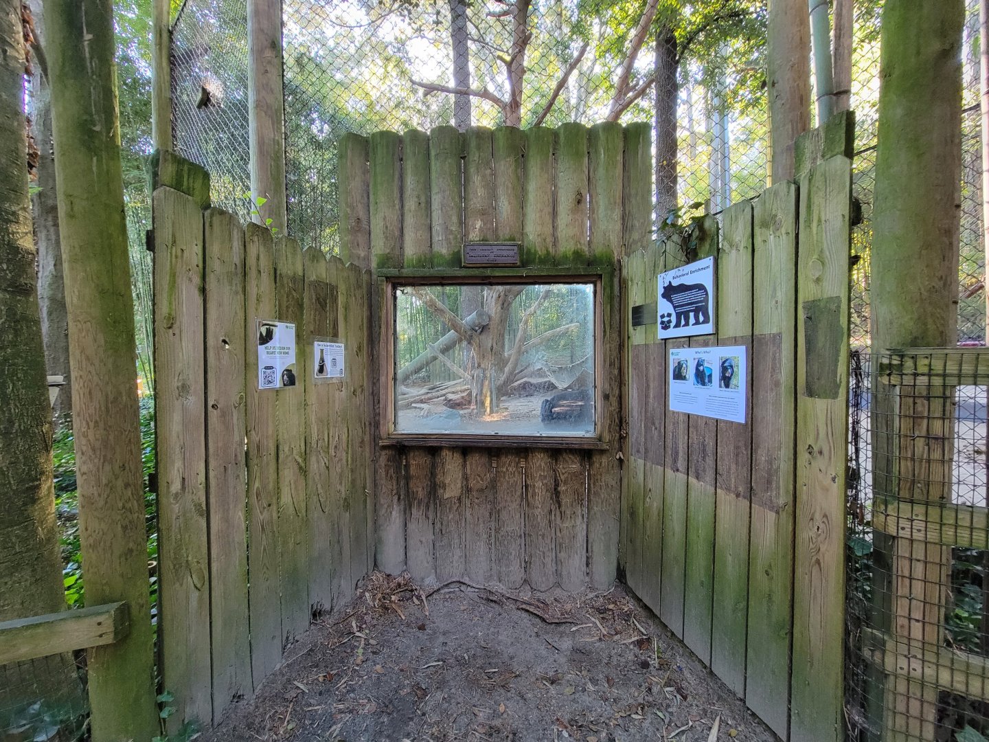 Salisbury Zoo - Andean bear glass window viewing