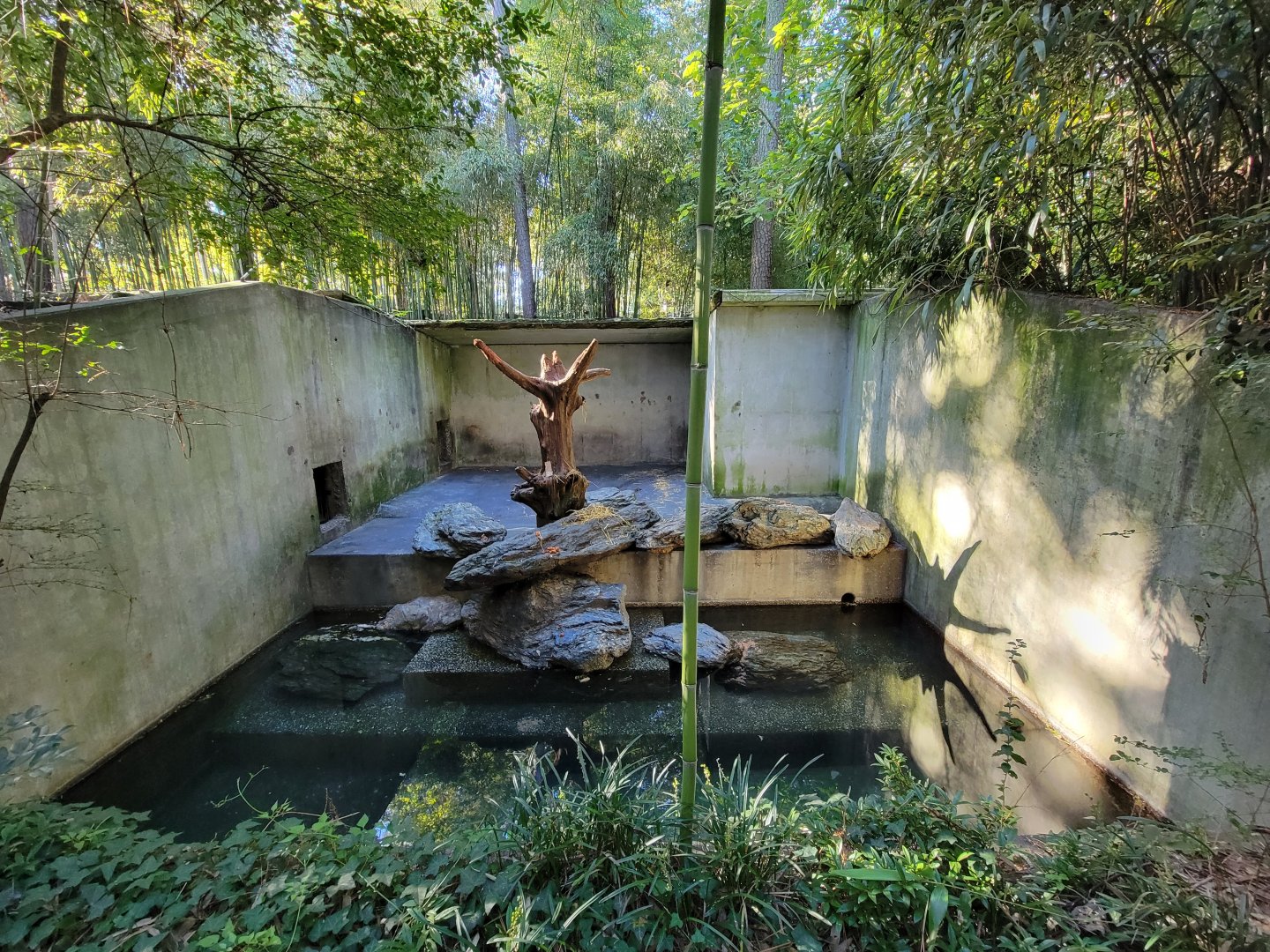 Salisbury Zoo - Andean bear pool area/old exhibit