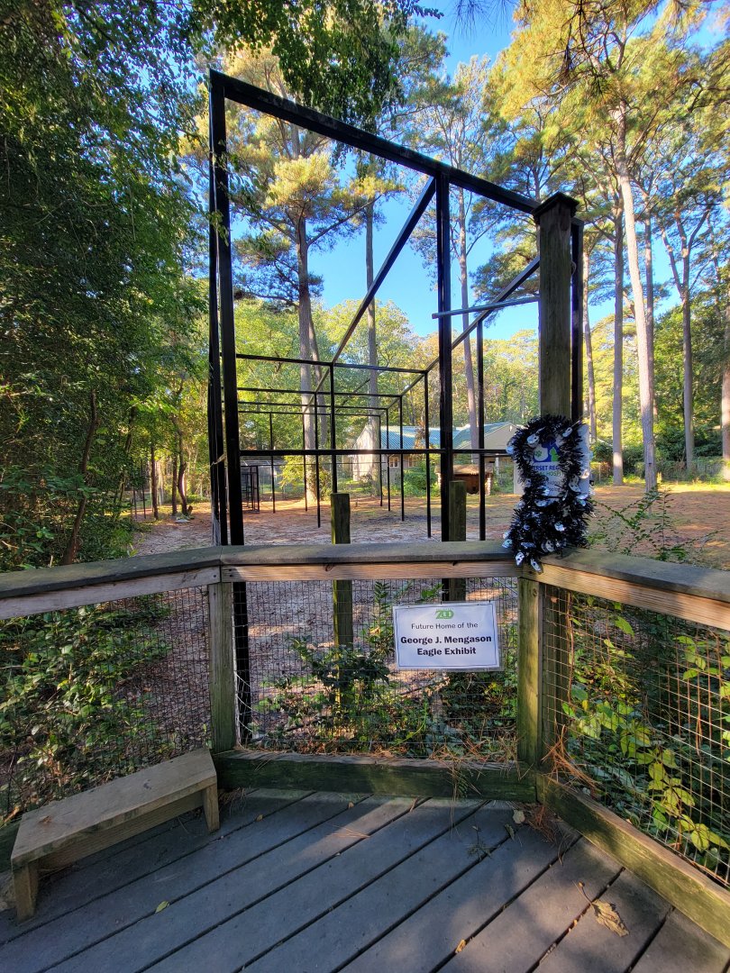 Salisbury Zoo - Bald eagle construction