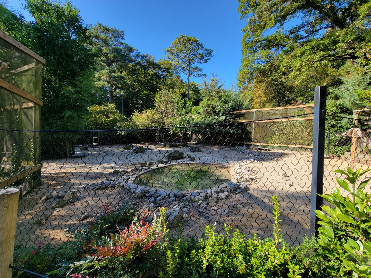 Salisbury Zoo - Bennett's wallaby yard