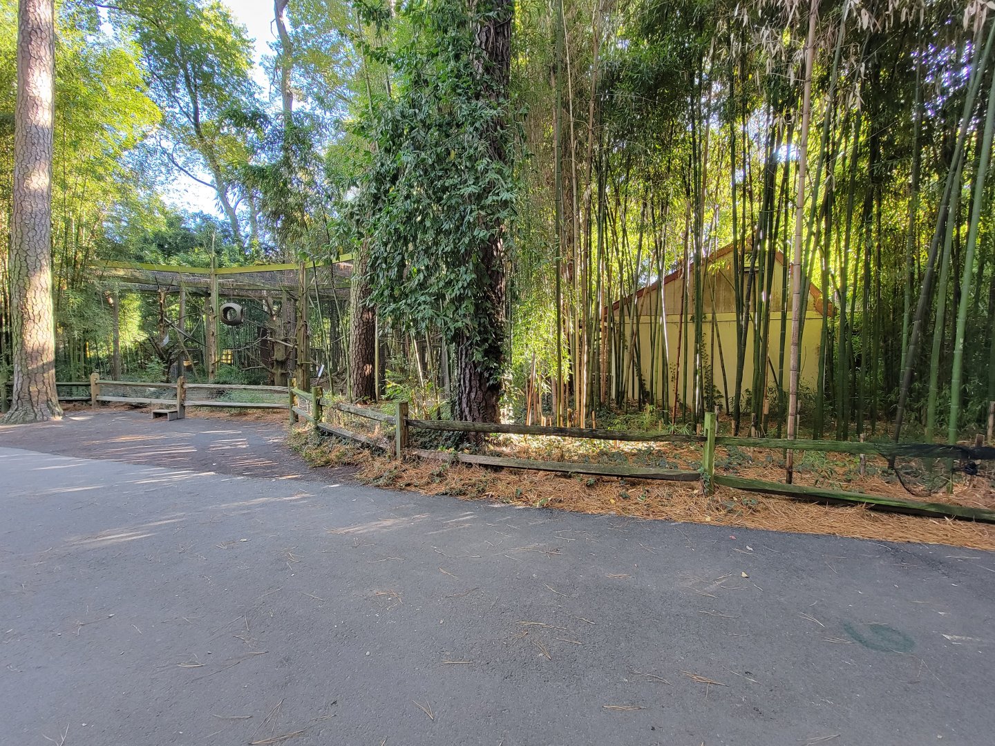 Salisbury Zoo - Black-handed spider monkey exhibit on left, holding on right
