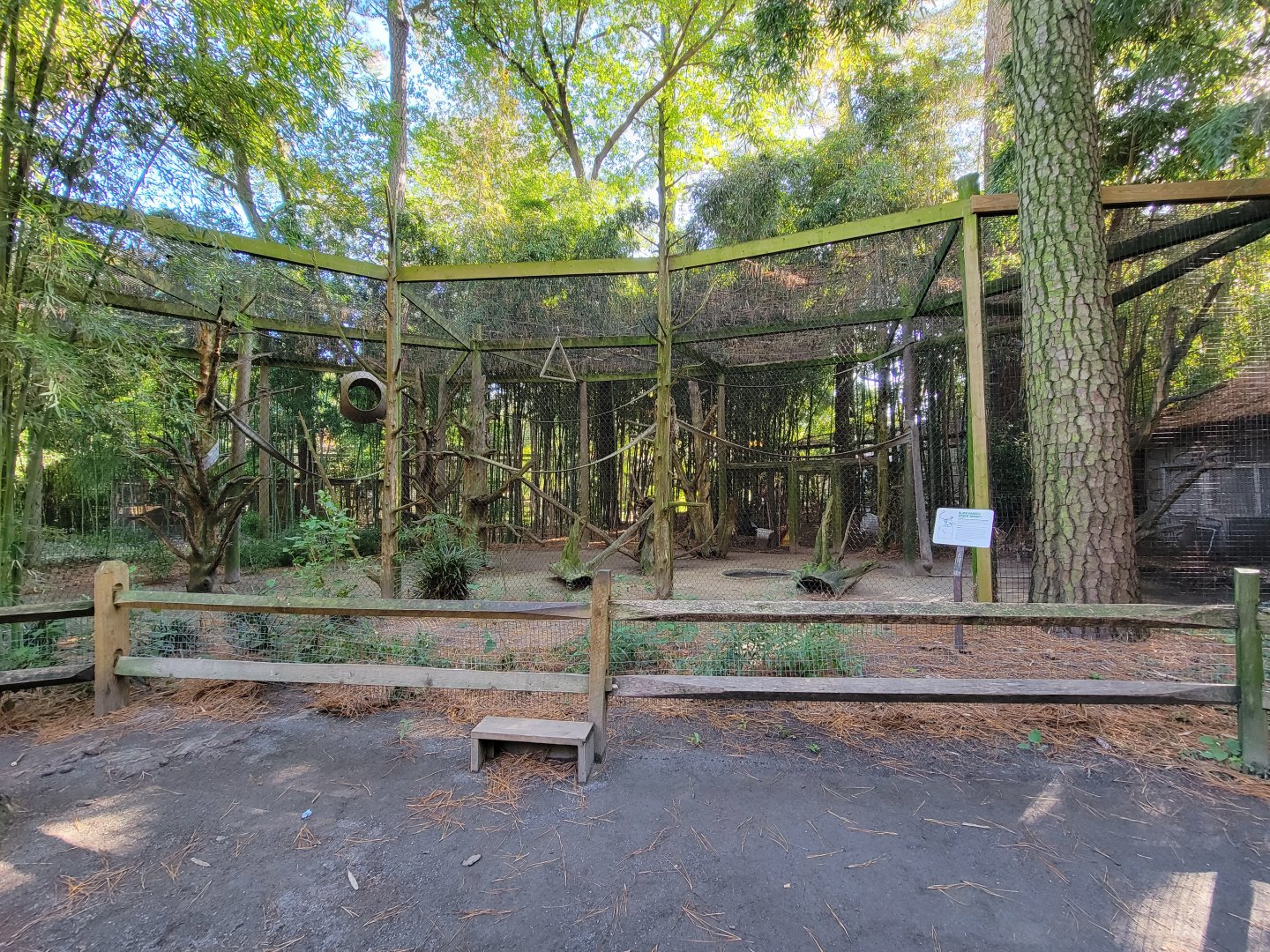 Salisbury Zoo - Black-handed spider monkey exhibit