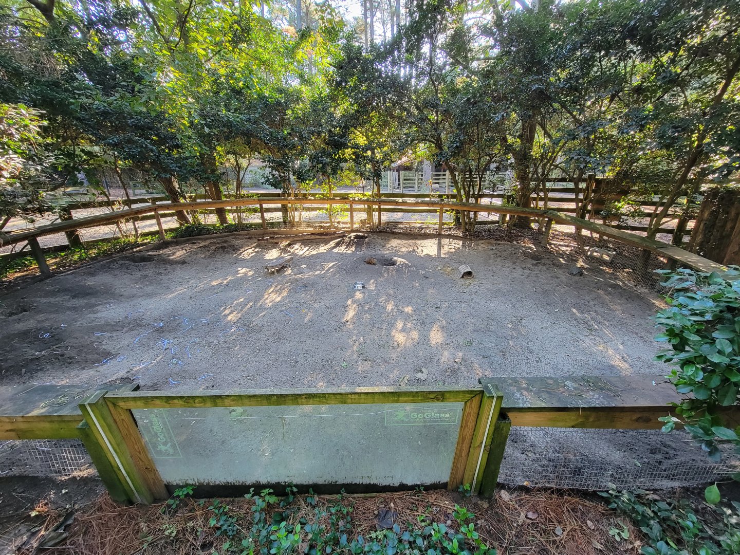 Salisbury Zoo - Black-tailed prairie dog exhibit