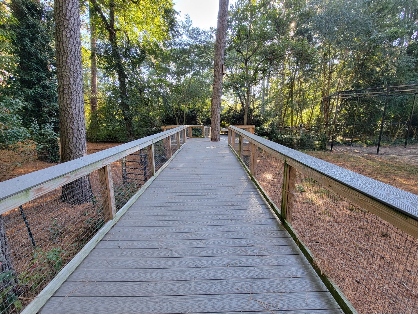 Salisbury Zoo - Boardwalk over South American yard