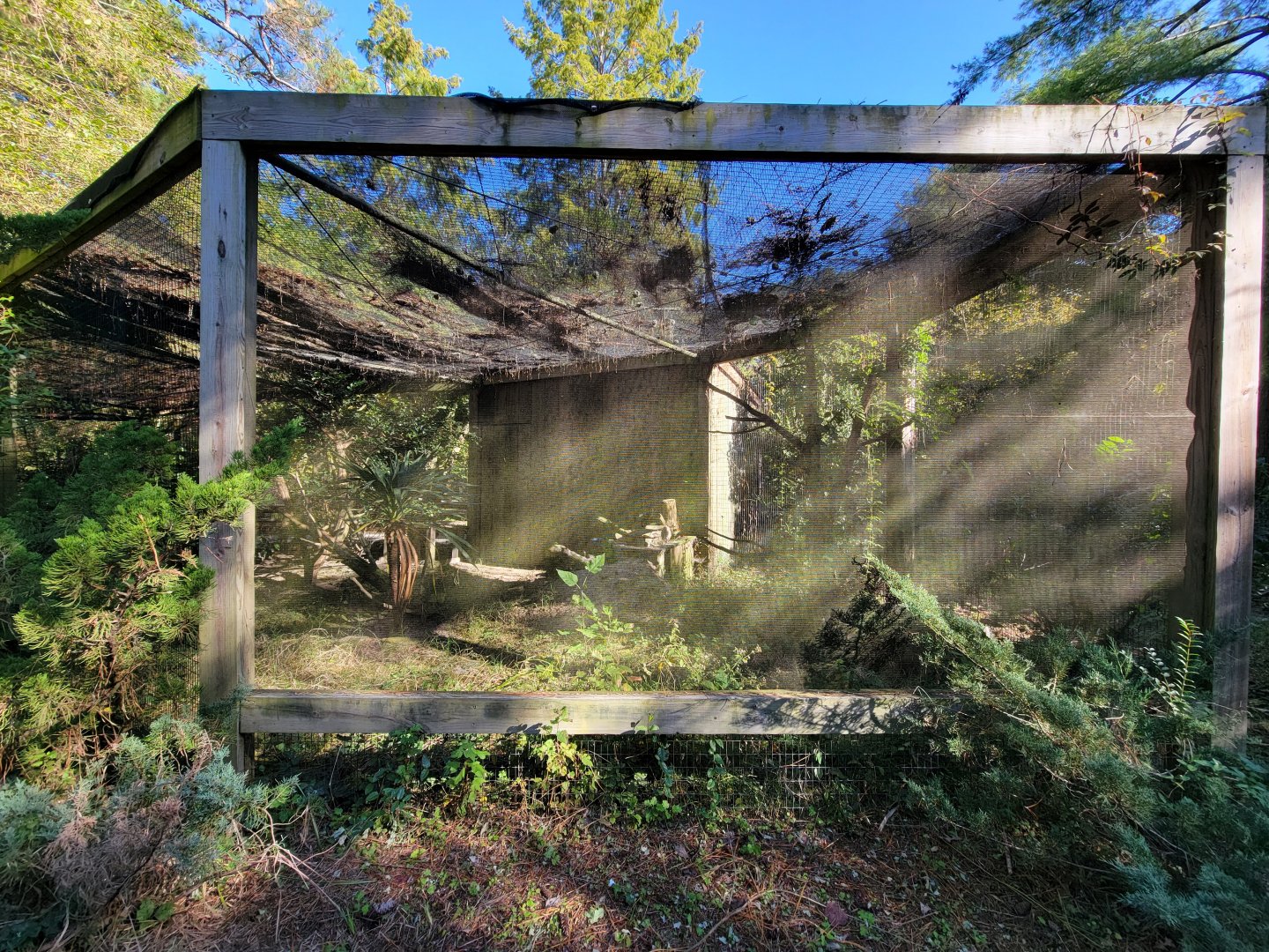 Salisbury Zoo - Burrowing owl exhibit