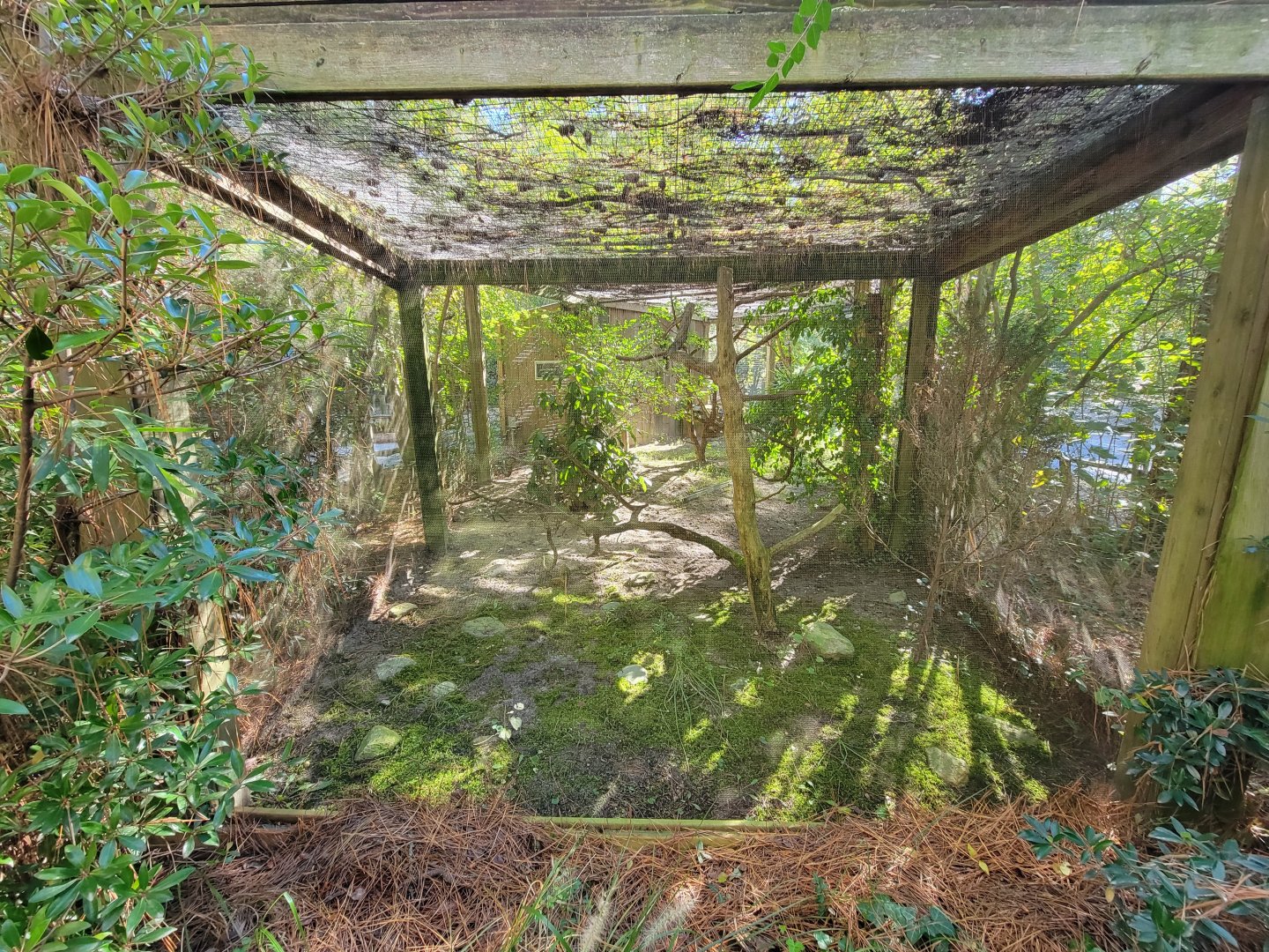 Salisbury Zoo - Burrowing owl exhibit