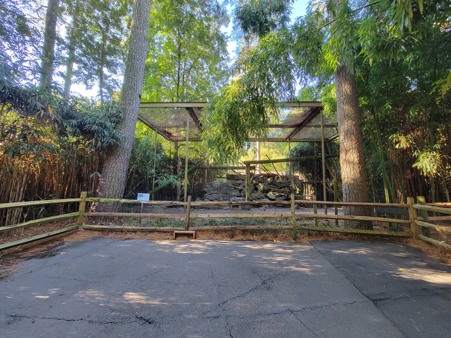 Salisbury Zoo - Canada lynx exhibit