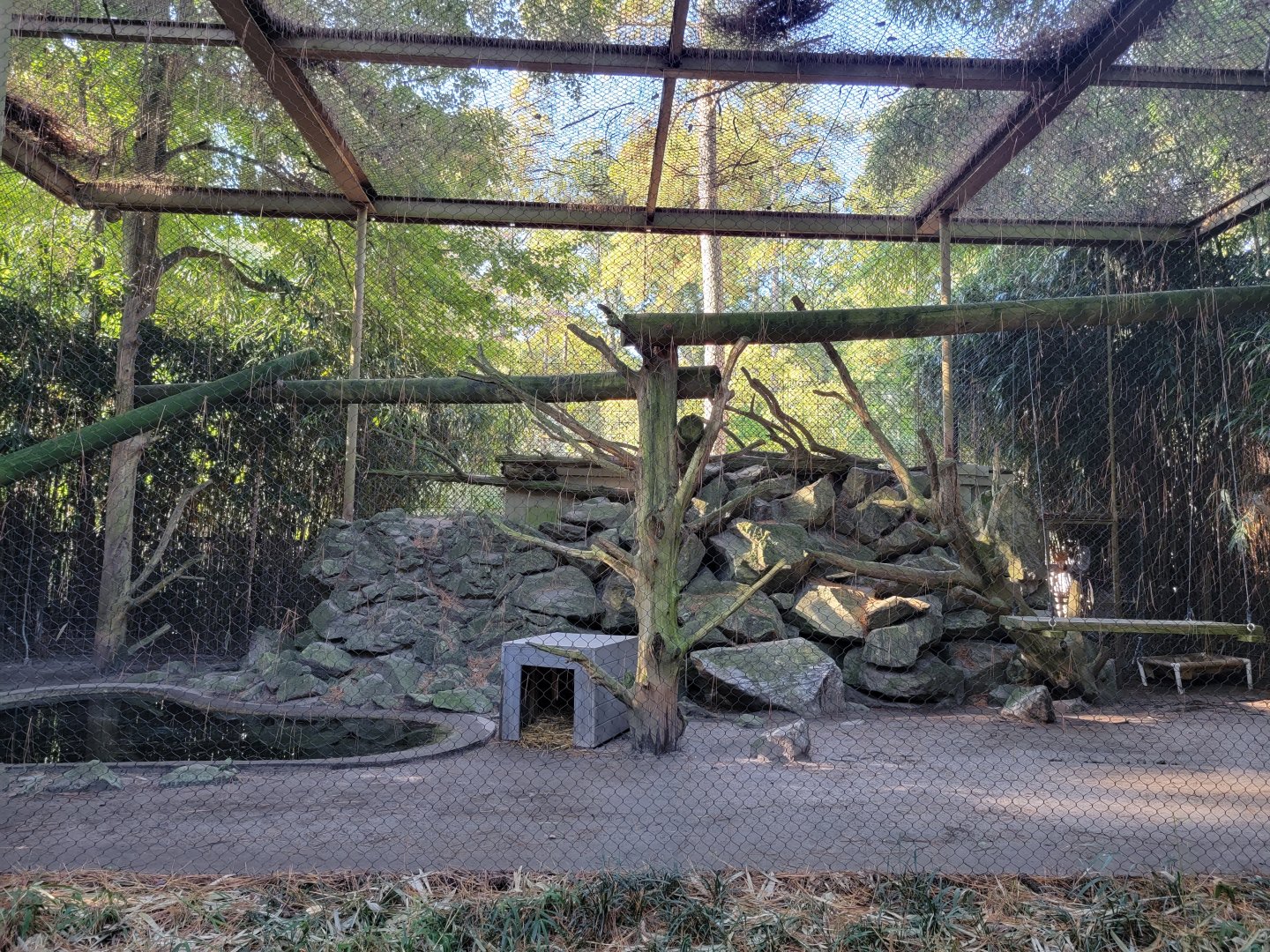 Salisbury Zoo - Canada lynx exhibit