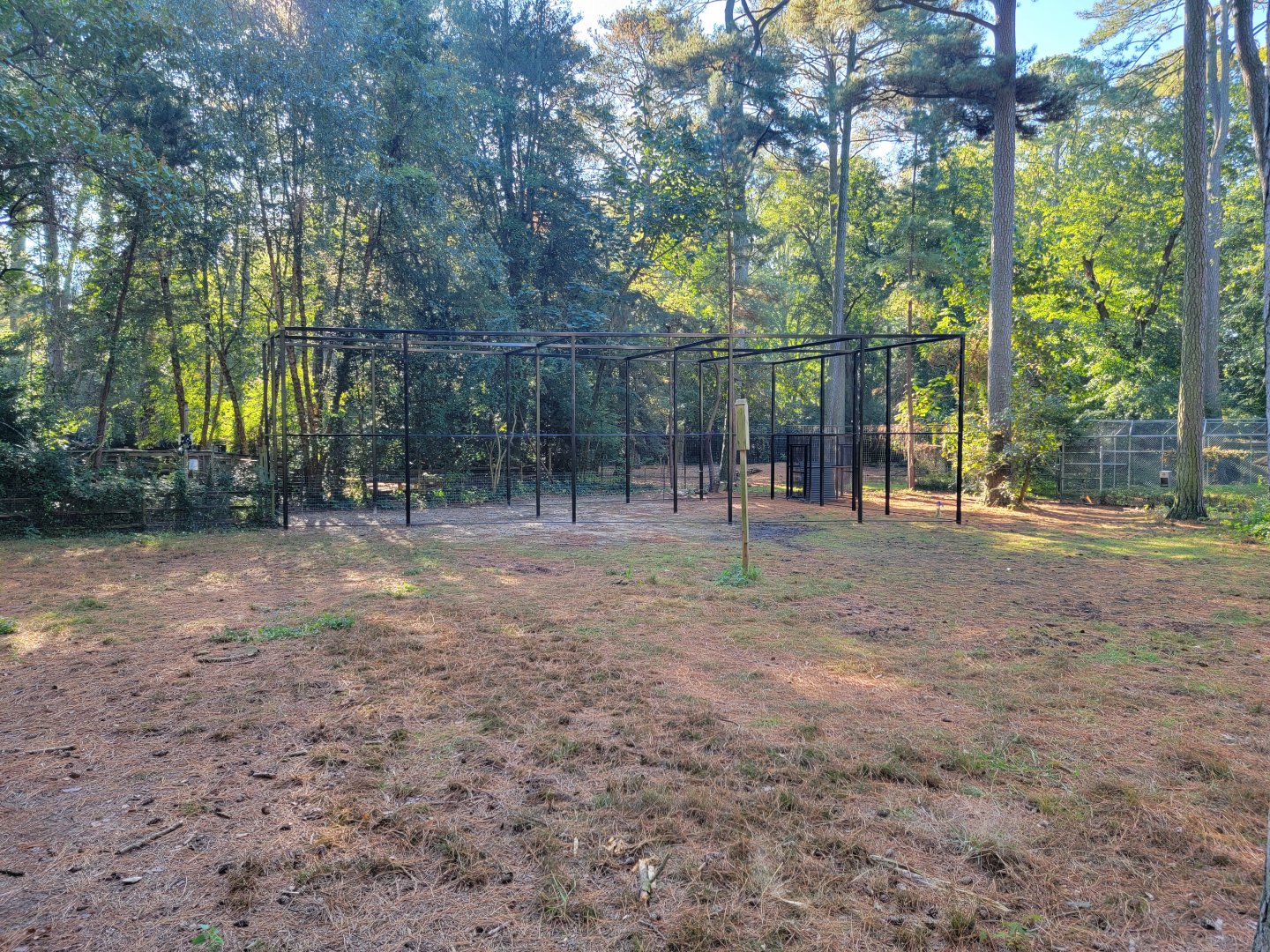 Salisbury Zoo - Construction of bald eagle exhibit
