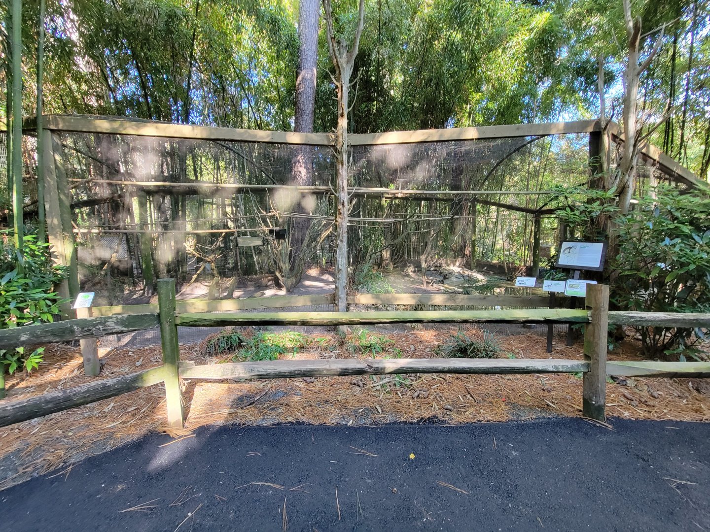 Salisbury Zoo - Cotton-top tamarins, black-tufted marmosets, and South American ducks