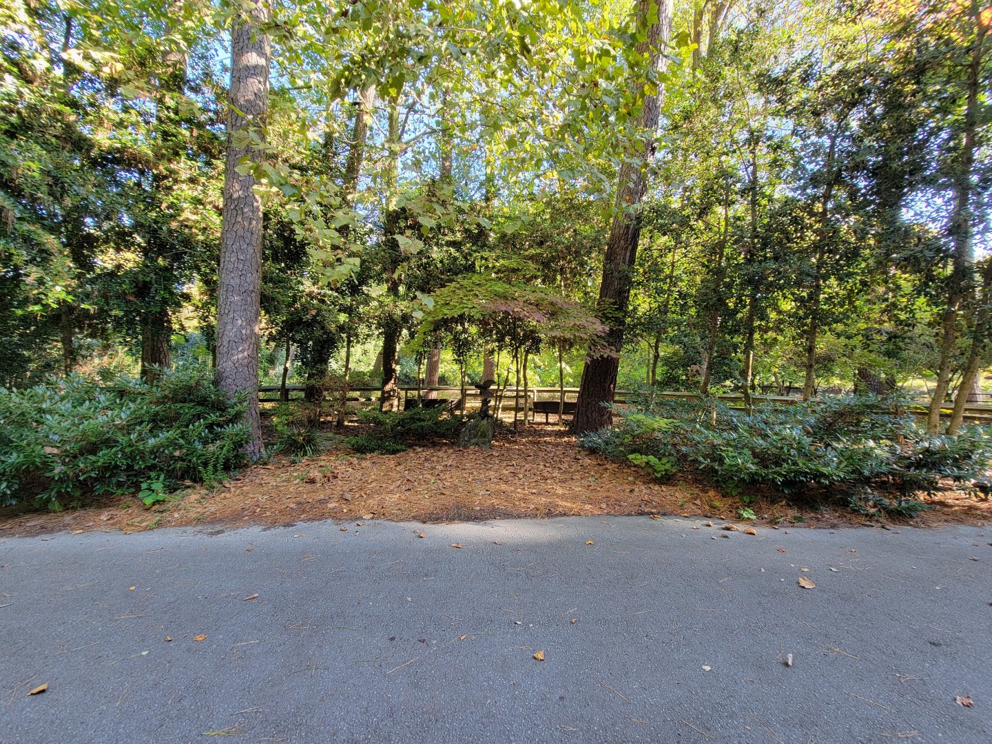 Salisbury Zoo - Former birds of prey loop, unused for 10+ years