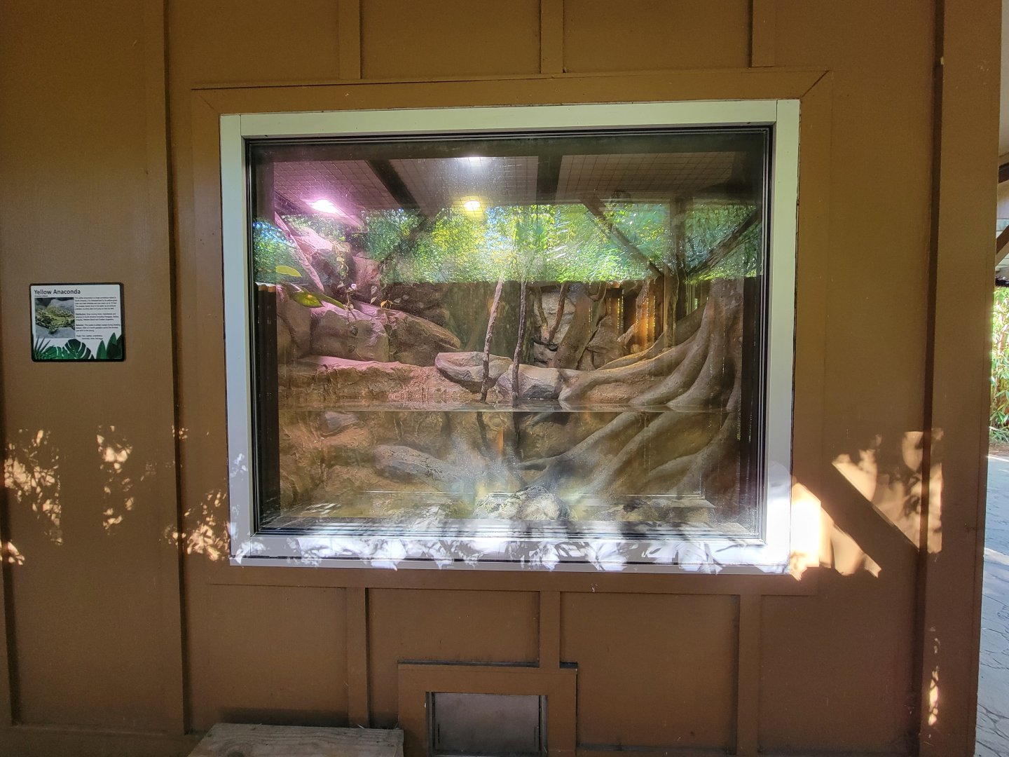 Salisbury Zoo - Front/pool of anaconda exhibit