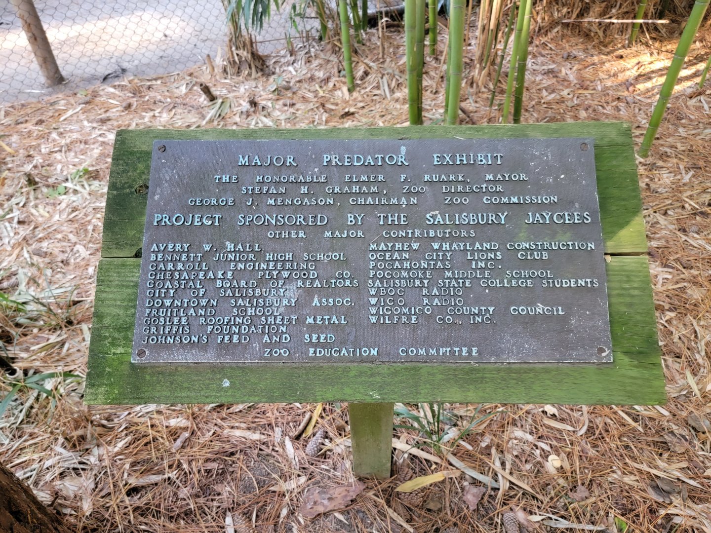 Salisbury Zoo - "Major Predator Exhibit" sign by lynx