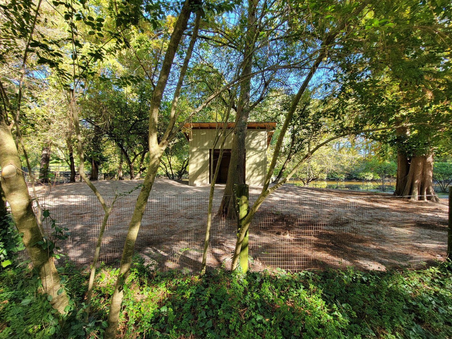 Salisbury Zoo - New alpaca barn