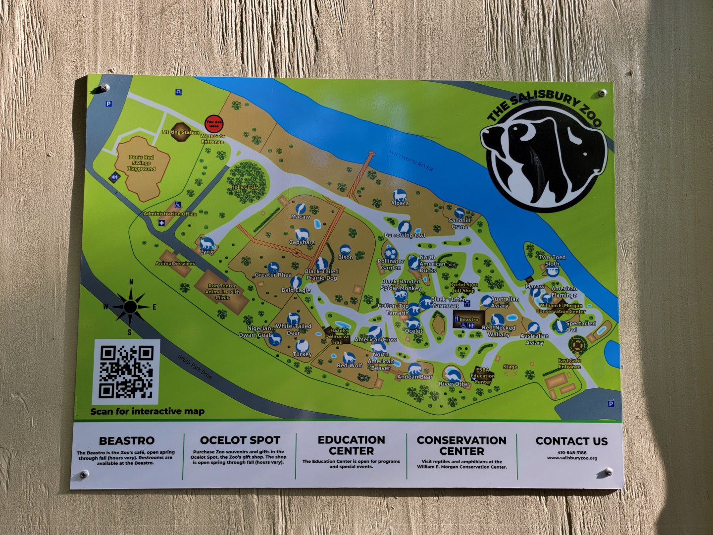 Salisbury Zoo - New zoo map (Nov 2023)