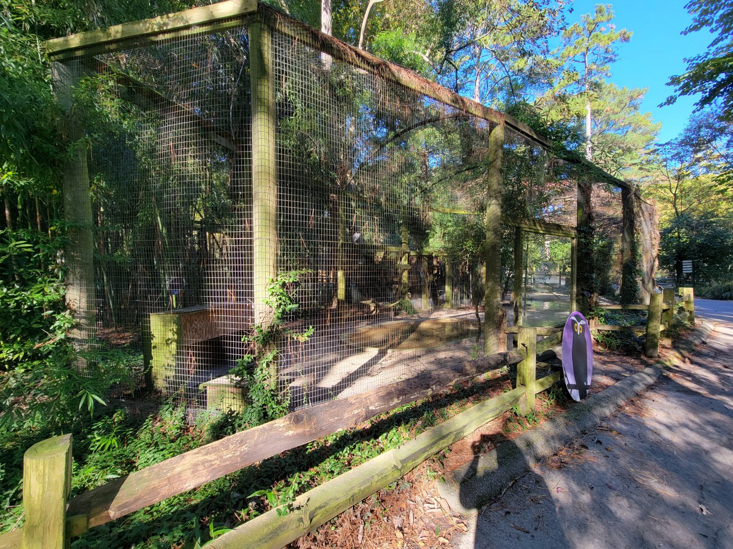 Salisbury Zoo - North American ducks exhibit