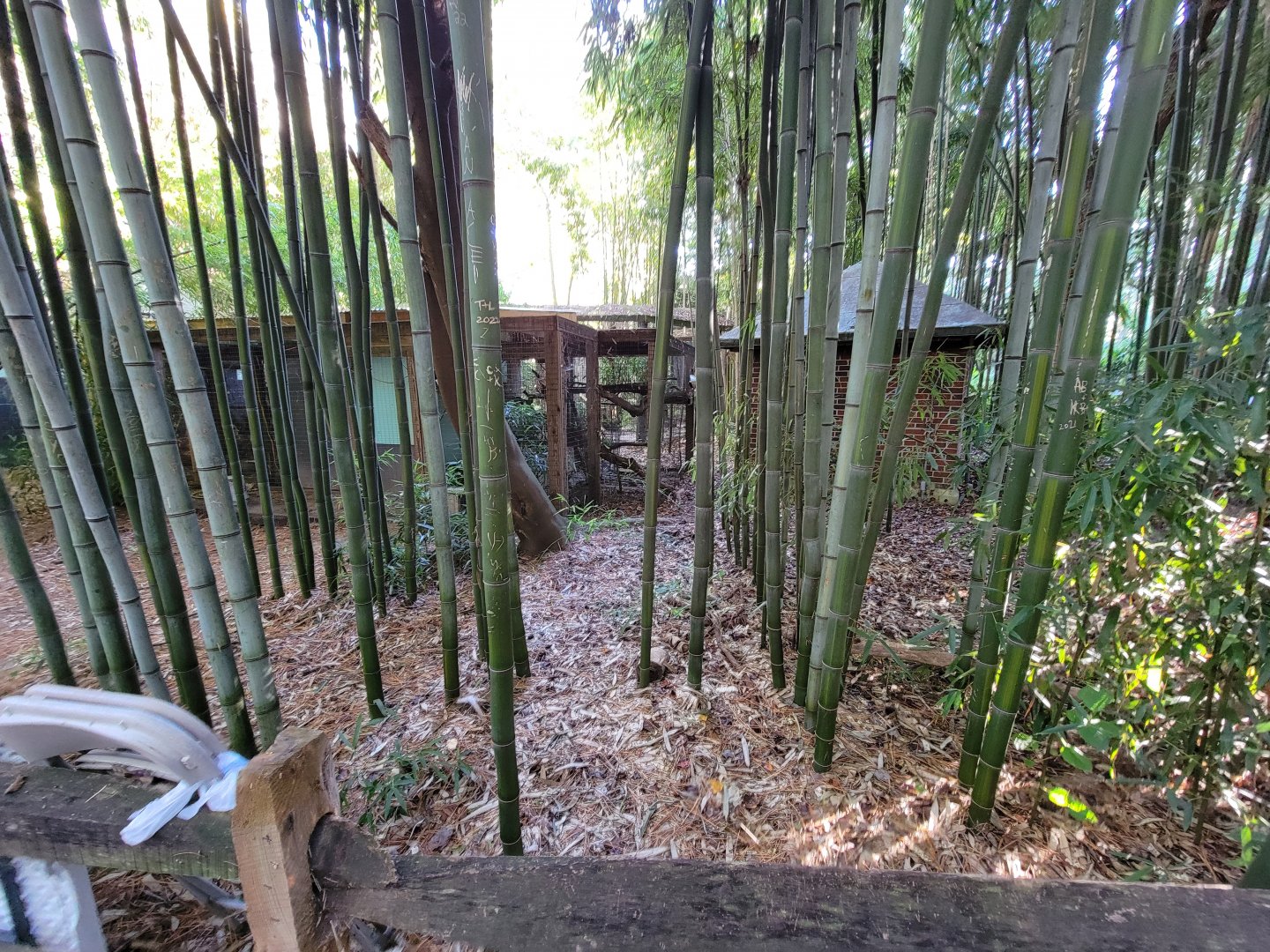 Salisbury Zoo - Off-show area for tamarins, ocelot, etc