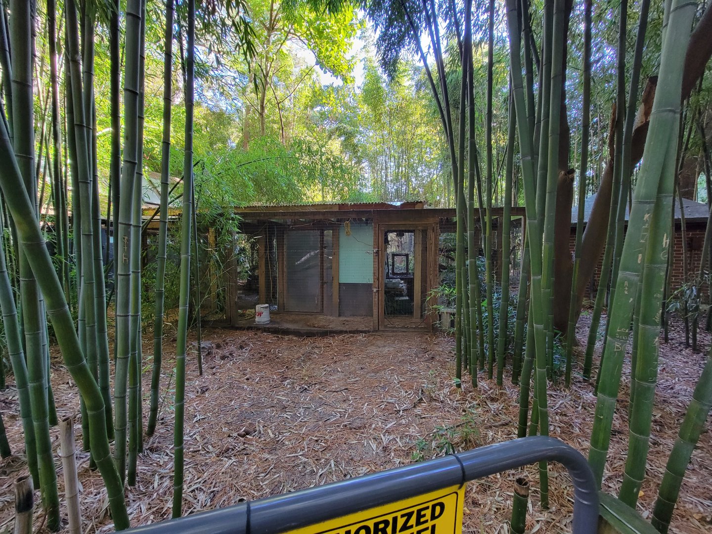 Salisbury Zoo - Off-show area for tamarins, ocelot, etc