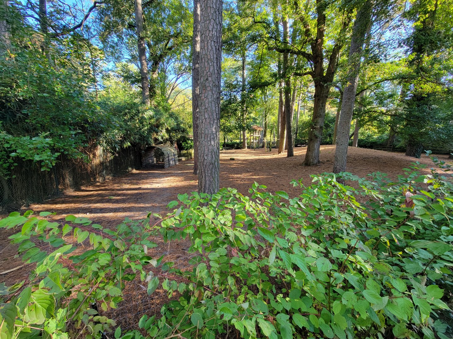 Salisbury Zoo - Other side of South American yard