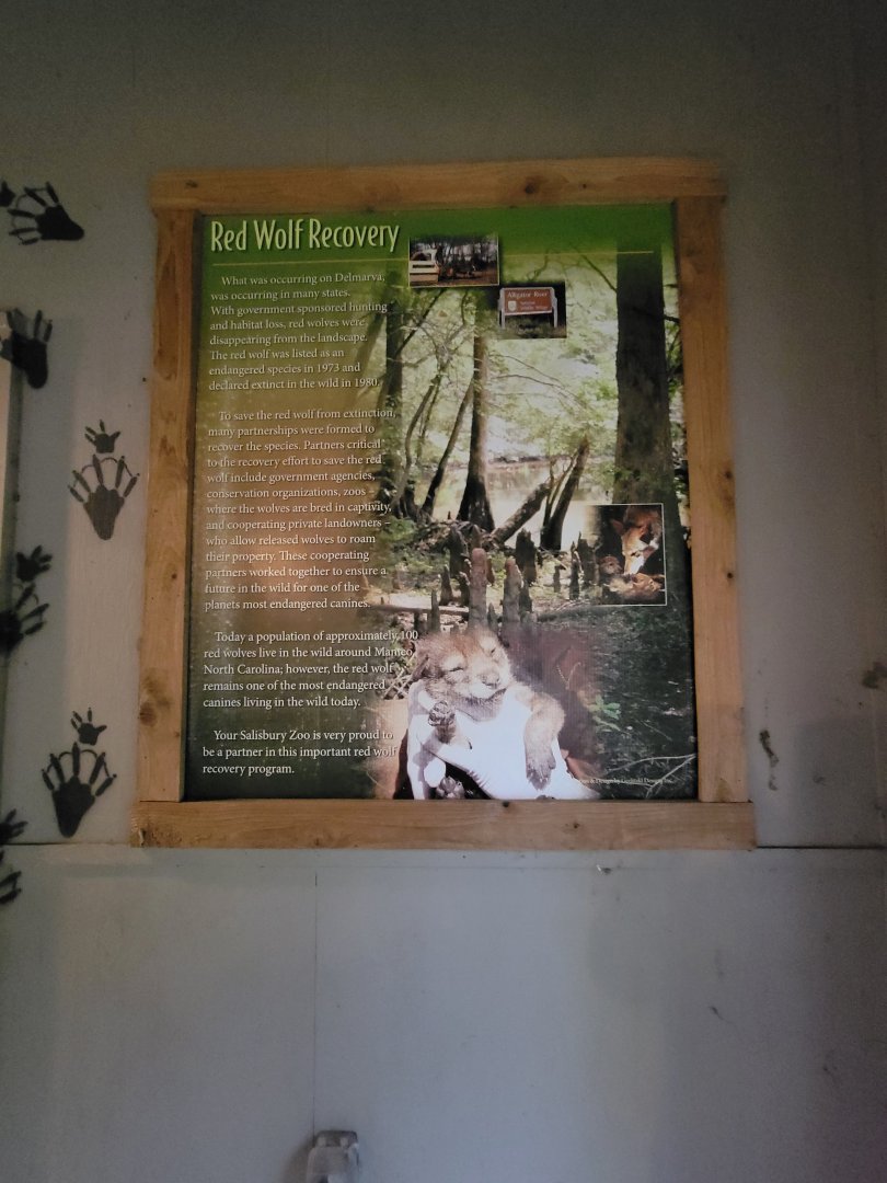 Salisbury Zoo - Red wolf recovery sign