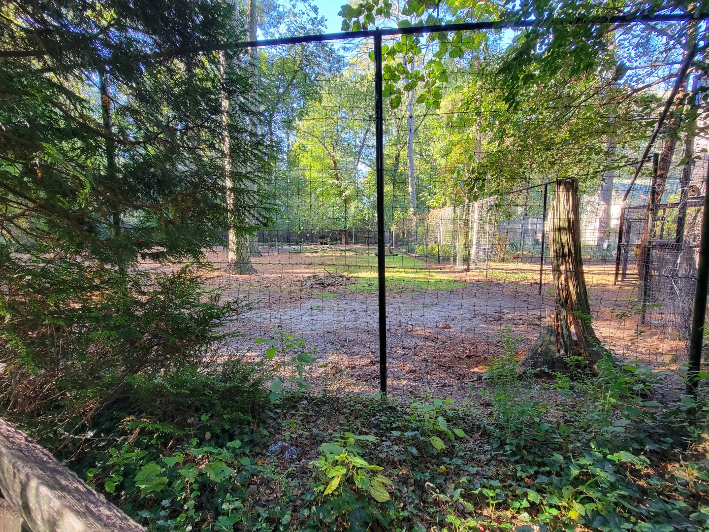 Salisbury Zoo - Right end of white-tail deer yard