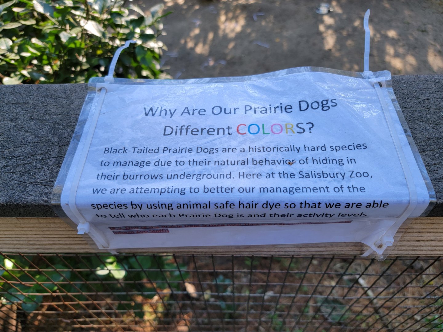 Salisbury Zoo - Sign about prairie dog colors