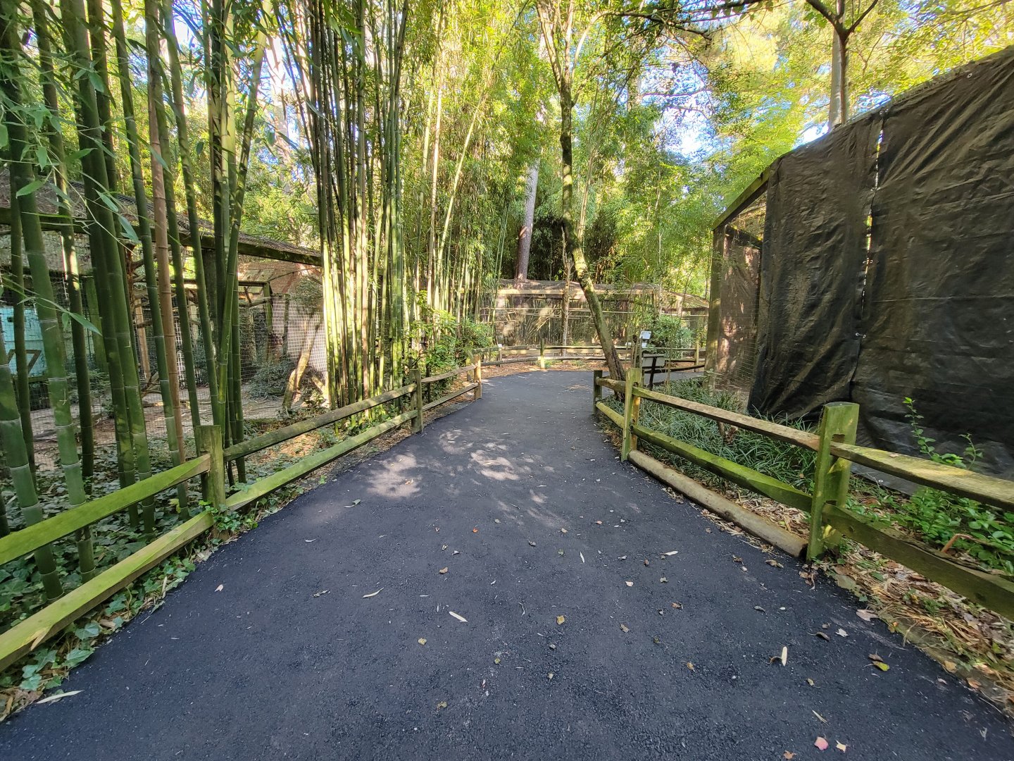 Salisbury Zoo - Smaller South American animals area