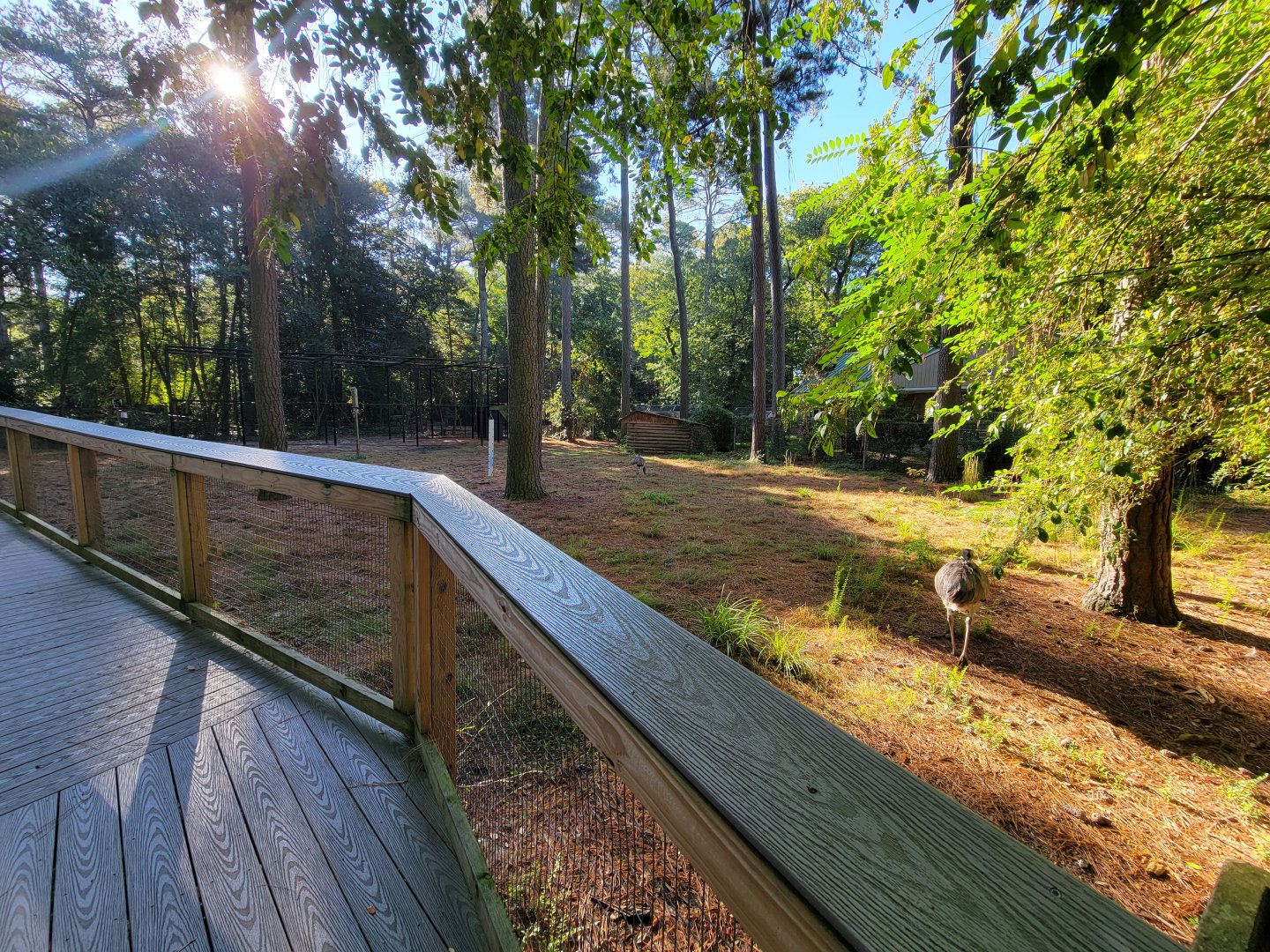Salisbury Zoo - South American yard