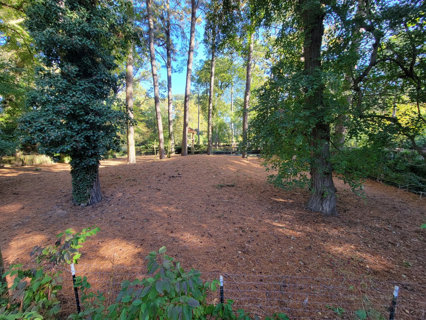 Salisbury Zoo - South American yard