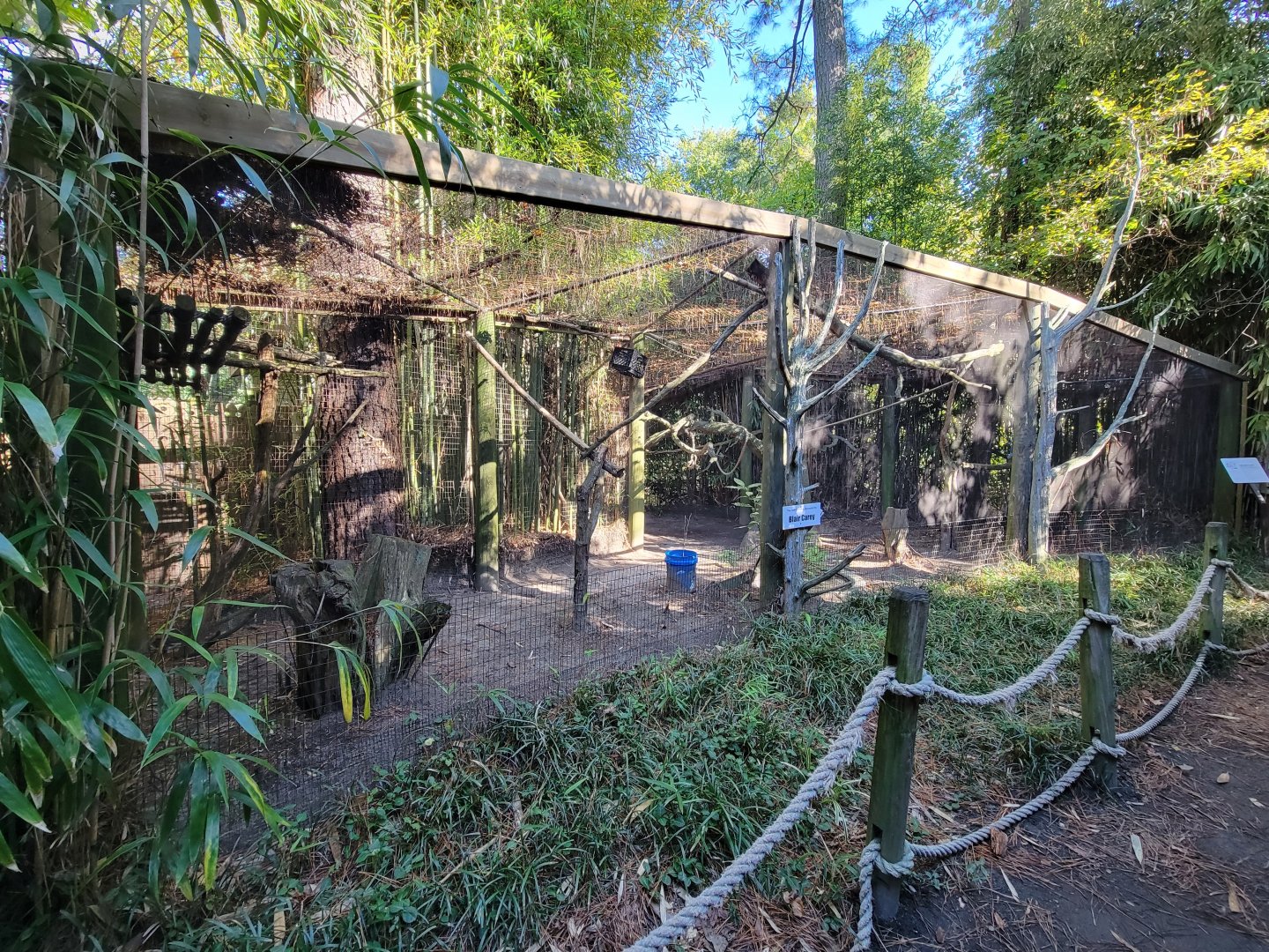 Salisbury Zoo - Southern sloth exhibit