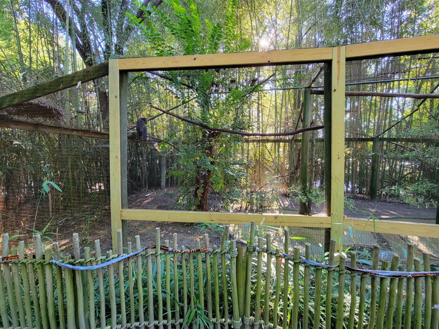 Salisbury Zoo - Spectacled owl (former alligator exhibit)