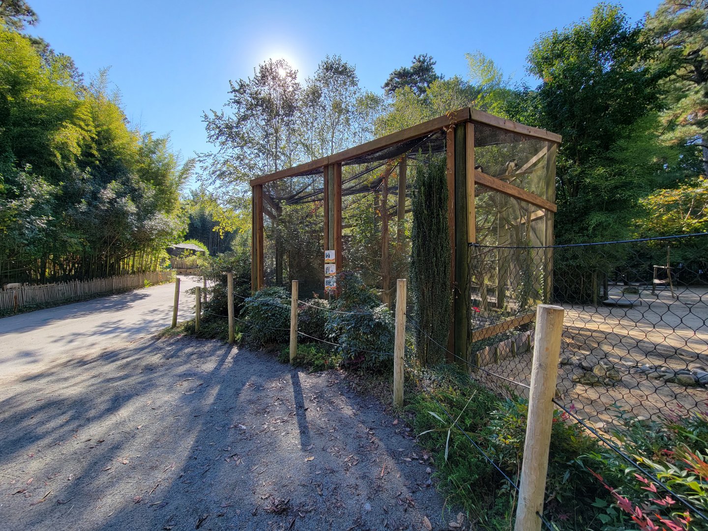 Salisbury Zoo - Spotted whistling duck, straw-necked ibis, and tawny frogmouth aviary