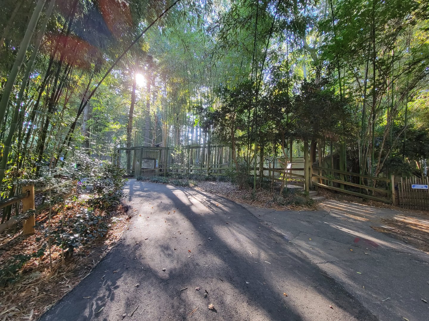 Salisbury Zoo - Walking up to Andean bear exhibits